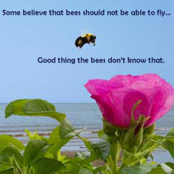 Bee-lieve!
